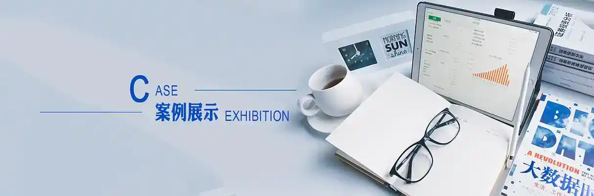诸城市软件开发